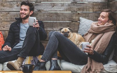 CBD For Pets